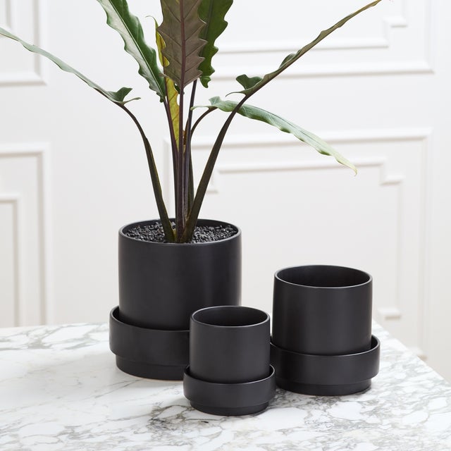Pots & Planters in Providence - Plant Store | Thea Plant Co
