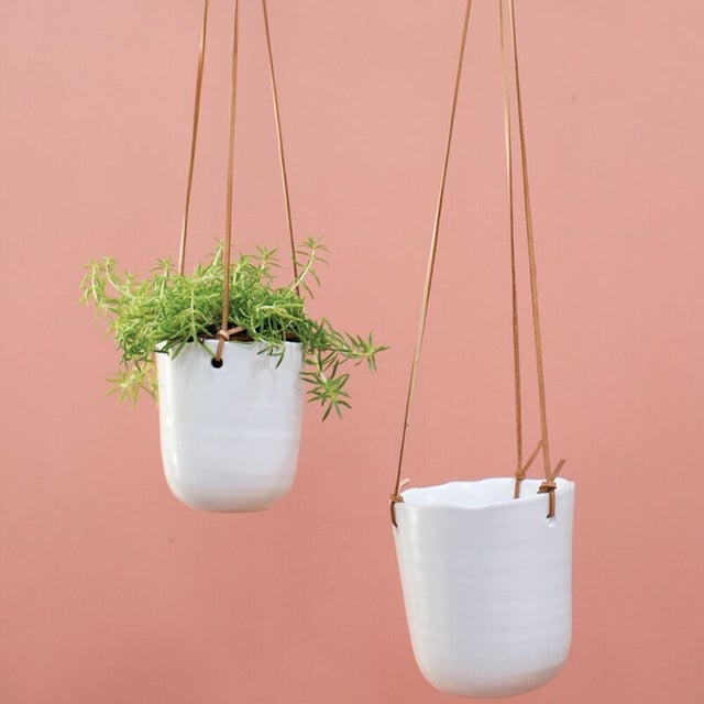 Hanging Planters & Macrame | Thea Plant Co, Providence Plant Store
