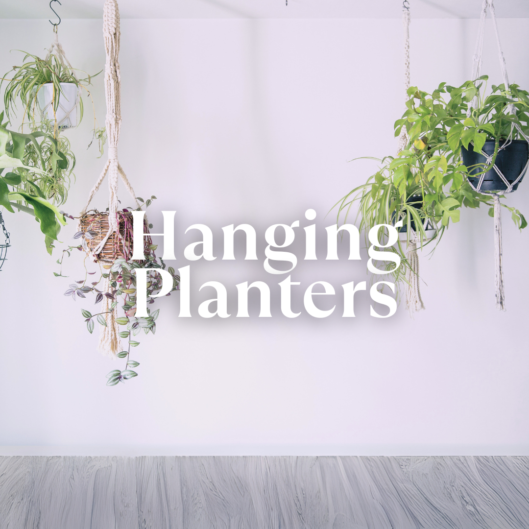 Hanging Planters & Macrame | Thea Plant Co, Providence Plant Store & Plant  Services