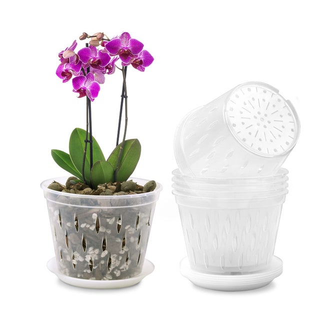 Plastic Pots & Nursery Pots | Thea Plant Co, Providence Plant Store & Plant  Services