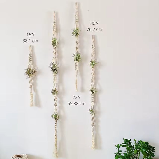 air plant macrame Macrame Air Plant Pod  Mari's Gardens